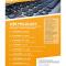 Web Philology